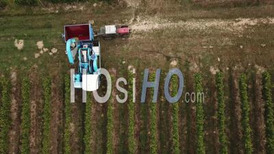 Machine à Récolter Dans Un Vignoble, Vidéo Drone