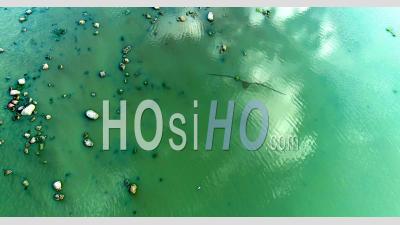 Aerial, Ocean Surface Covered With Cyanobacteria Concentrations, Baltic Sea - Video Drone Footage