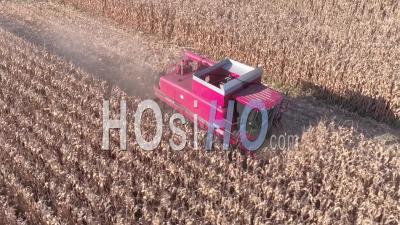 Corn Harvest - Video Drone Footage