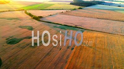 Farming Landscape During Sunset With Lens Flare - Video Drone Footage