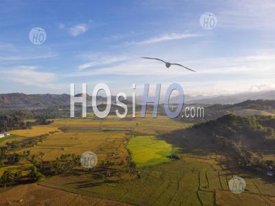 Paddy Field Landscape With Mountain Background, Philippines - Aerial Photography