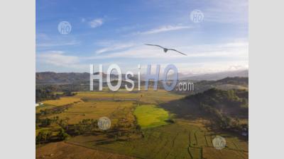 Paddy Field Landscape With Mountain Background, Philippines - Drone Point Of View - Photographie Aérienne