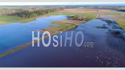 Paysage Agricole Inondé, Automne, Suède - Vidéo Drone