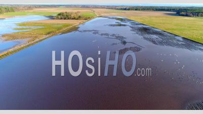 Flooded Farming Landscape, Autumn, Sweden - Video Drone Footage