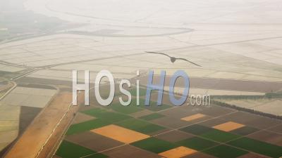 Aerial View Of (wide Shot) Patchwork Fields And Flooded Rice Paddies