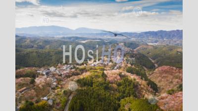 Sakura Trees Of Yoshino Mount, Nara Prefecture, Japan - Drone Point Of View - Photographie Aérienne