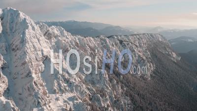 Mountains And Pine Forest Covered In Snow - Video Drone Footage