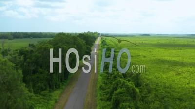 An Open Field Forest With The Road Cutting Through, With A Lake Alongside, Nickerie, Suriname