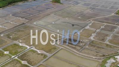 Salt Marsh Near La Baule, France - Video Drone Footage