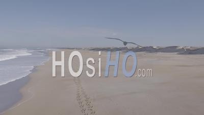 Woman Horse-Riding Gallop With Her Horses On A Wild Beach By The Ocean - Aerial Video By Drone