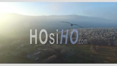 Frozen Landscapes, Alsace, France - Video Drone Footage