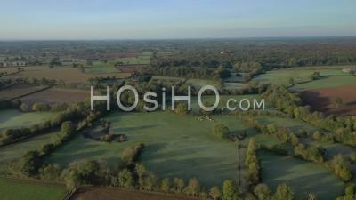 Rural Landscape In Autumn, Poitou-Charentes - Drone Point Of View
