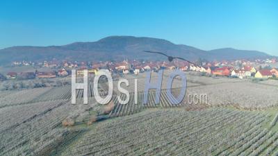Frozen Vineyards And Alsacian Village, Alsace, France - Video Drone Footage