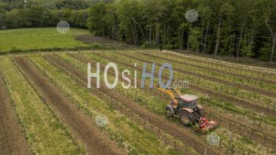 Aerial Shot Of A Tractor Working On Vineyard - Aerial Photography