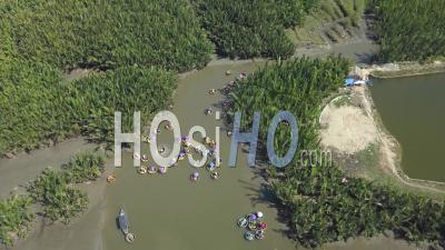 Top View With Drone Of Coconut Tree Forest With Bamboo Basket Boats In Hoi An, Vietnam