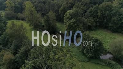 French Hedgerow In Summer - Video Drone Footage