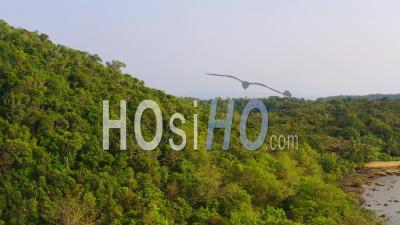 Plage Déserte Sur Koh Mak - Vidéo Aérienne Par Drone
