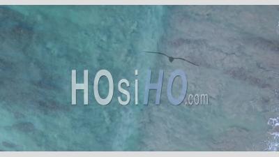 Vue De Dessus Du Mouvement De L'eau Sur Le Récif - Vidéo Aérienne Par Drone
