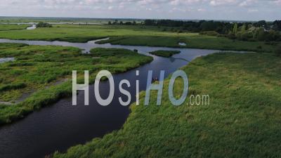 Drone Briere Swamp Point Of View
