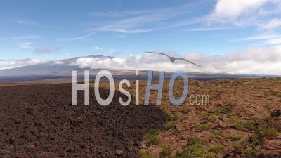 Large View Of Mauna Loa Volcano Coming Out The Clouds, Hawaii - Video Drone Footage