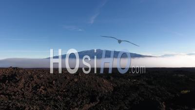 Aerial View Of Mauna Loa Volcano Coming Out The Clouds, Hawaii - Video Drone Footage
