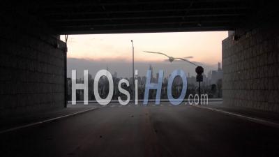 Aerial Bridge Underpass Reveals Vast Cemetery In New York City Suggests Victims From Coronavirus Covid-19 Pandemic Epidemic Outbreak Deaths. - Video Drone Footage