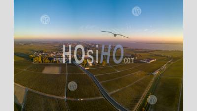Route Des Chateaux, Vineyard In Medoc, Famous Wine Estate Of Bordeaux Wine - Aerial Photography