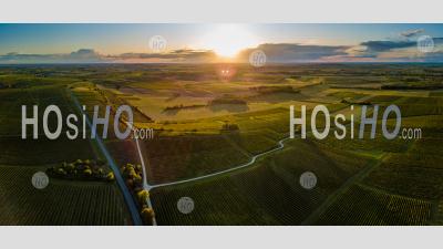 Aerial View Of Bordeaux Vineyard At Sunset - Aerial Photography