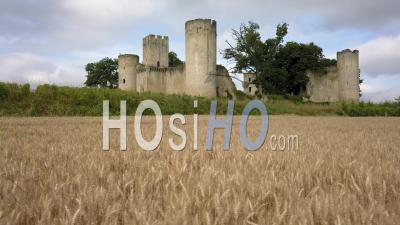 Castle In Vineyards And Wheat Fields, Video Drone Footage