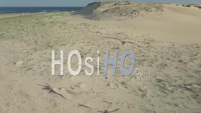 Aerial View Of Moliets Beach, Mouth Of The Courant D’huchet - Video Drone Footage