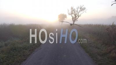 Misty Road In Alsace - Video Drone Footage