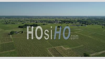 Vineyard Of Bourgueil, France, In A Spring Afternoon - Video Drone Footage