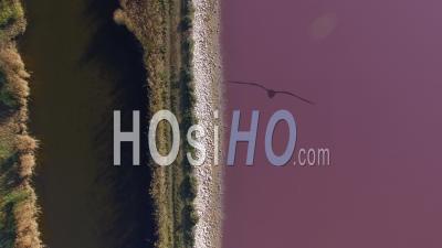 Aerial View Of The Salins Du Midi Salt Marshes, Aigues-Mortes, France – By Drone