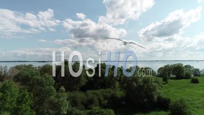 Lac Du Der Chantecoq Lake With Beautiful Clouds Reflection - Video Drone Footage