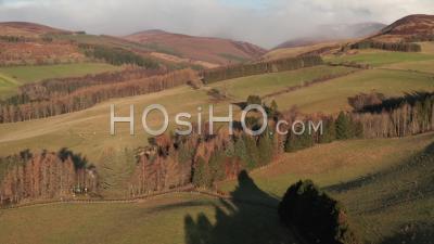 A Vast Moorland With Various Trees Under The Summer Weather In Blair Athol Inside The Cairngorms National Park - Aerial Shot - Video Drone Footage