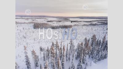 Lac Couvert De Neige Et Paysage D'hiver De La Forêt Montrant L'incroyable Paysage De Laponie En Scandinavie En Finlande Drone