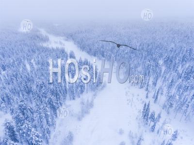 Vue Aérienne De La Rivière Gelée Et De La Forêt Couverte De Neige Paysage D'hiver Montrant Des Paysages étonnants De Laponie En Scandinavie En Finlande - Photographie Aérienne