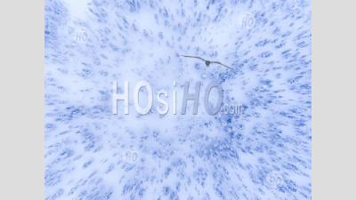 Prise De Vue Drone Photo D'une Forêt D'hiver Couverte De Neige Et Blanche D'arbres Froids Dans Le Cercle Arctique En Laponie Finlandaise, Finlande
