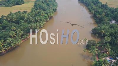 Kerala Backwaters River Landscape At Alleppey, India. Aerial Drone View