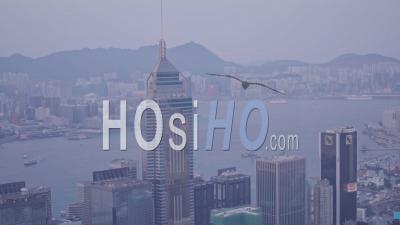 Gratte-Ciel Central Plaza Et Le Centre-Ville De Hong Kong. Vidéo Aérienne Par Drone