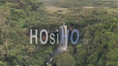Le Ralenti D'ayres's Hawk Eagle (hieraaetus Ayresii) En Vol, Le Parc National D'aberdare, Kenya - Vidéo Aérienne Par Drone