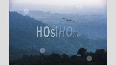 Misty Choco Cloud Rainforest Dans La Soirée, Equateur