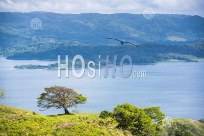 Arenal Lake, Alajuela Province, Costa Rica, Central America