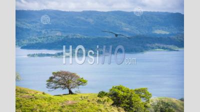Arenal Lake, Alajuela Province, Costa Rica, Central America