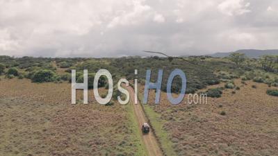 Driving In Aberdare National Park, Kenya, Africa. Aerial Drone View Follow