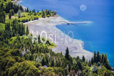 Forest And Lake At San Carlos De Bariloche, Rio Negro Province, Patagonia, Argentina, South America, Background With Copy Space