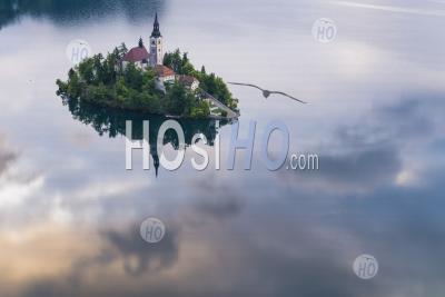 Sunrise Landscape Of Lake Bled Island Reflections And The Church Of The Assumption Of St Mary, Gorenjska, Slovenia, Europe