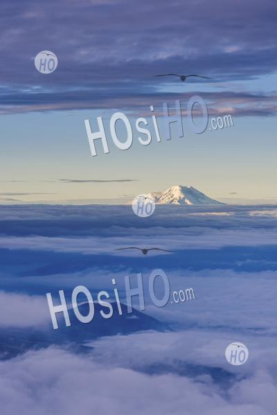Chimborazo Volcano 6,268m Summit, Seen From 5,897m Cotopaxi Volcano Summit, Cotopaxi Province, Ecuador, South America