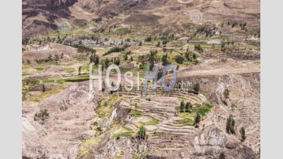 Terres Agricoles Et Terrasses Du Canyon De Colca, Pérou, Amérique Du Sud
