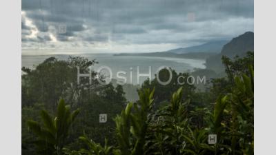 Tempête De Pluie Torrentielle Dans La Forêt Tropicale à Uvita, Province De Puntarenas, Côte Pacifique Du Costa Rica